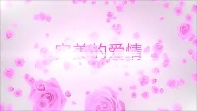 唯美玫瑰婚礼相册展示AECC2015模板视频的预览图